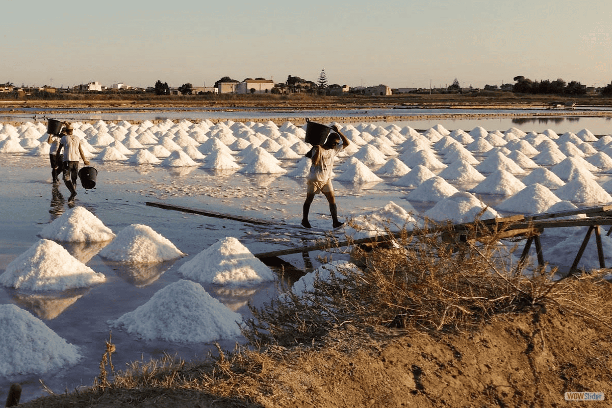 Operai al lavoro nella raccolta del sale nei cumuli tradizionali nelle saline tra Trapani e Marsala